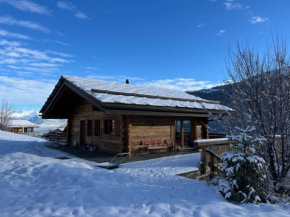 Beautiful, contemporary chalet in Haute Nendaz